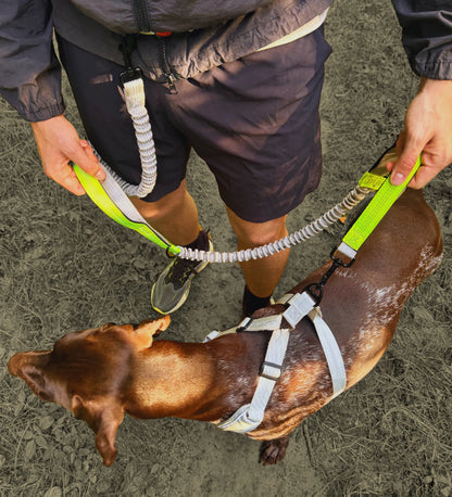 Elastic Jogger Dog Leash