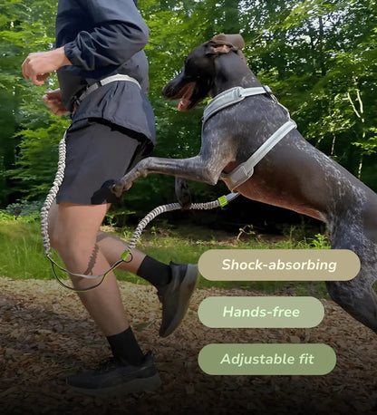 Elastic Jogger Dog Leash