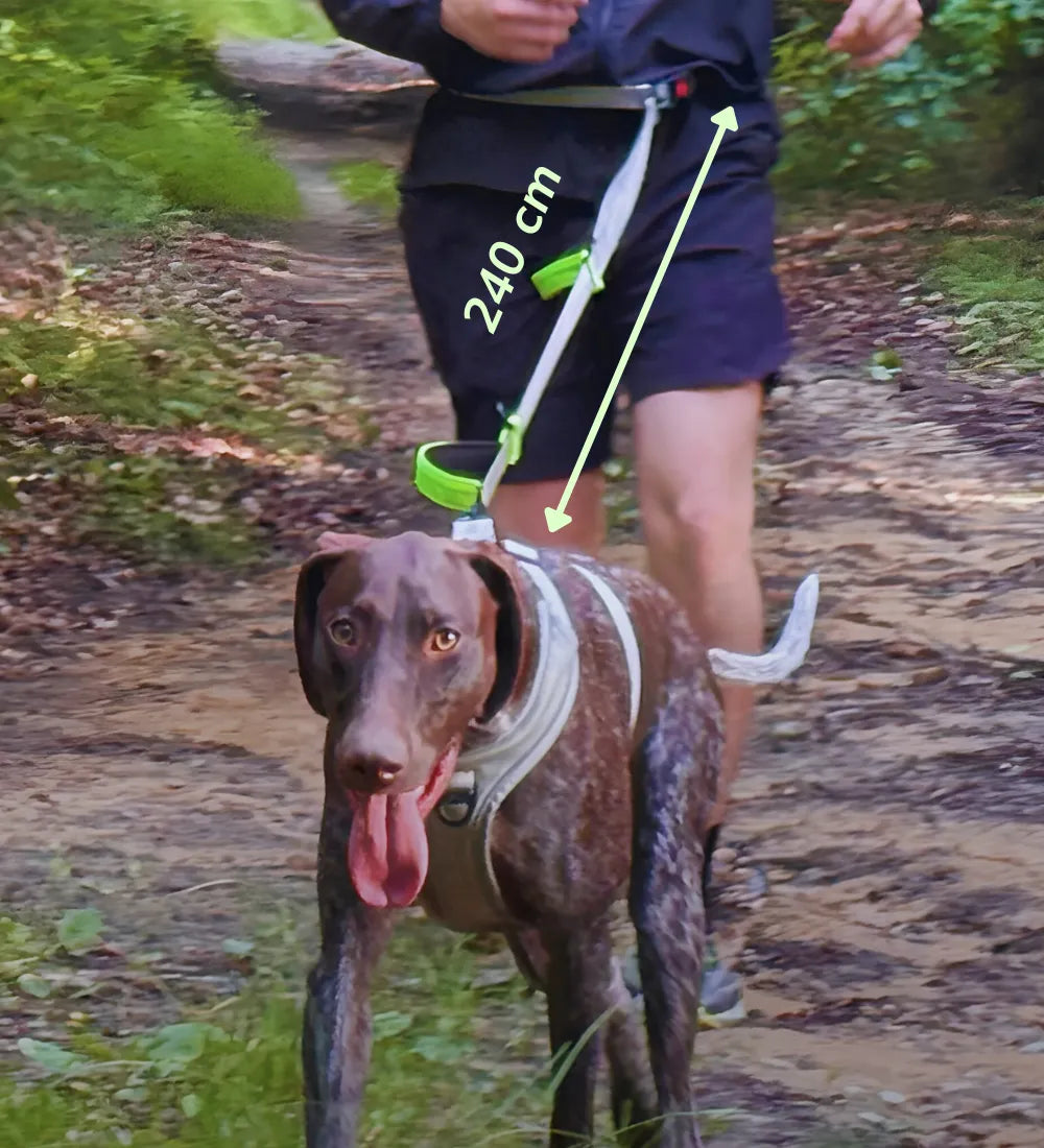 Elastic Jogger Dog Leash