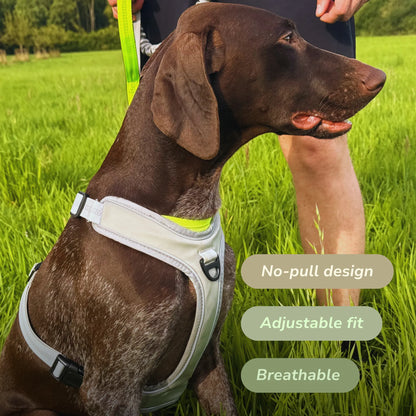 Comfort Jogger Dog Harness