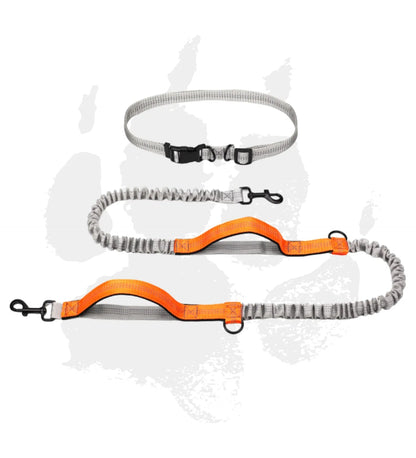 Elastic Jogger Dog Leash