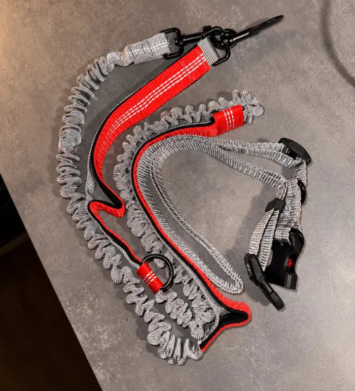 Customer photo: the red and grey hands-free running leash coiled on a worktop, showing the elasticated bungee sections, reflective stitching, D-ring and black metal trigger clip
